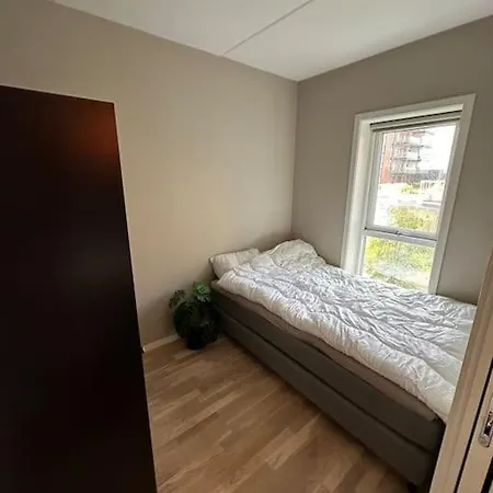 Trendy Og Moderne Leilighet Fra 2020 Lejlighed